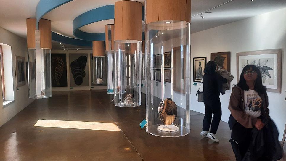 DÉJATE ENVOLVER POR LAS CARACOLAS DE MARIO ZAJUR