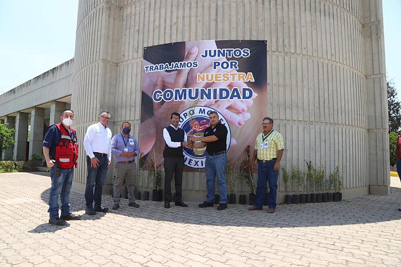 DONA GRUPO MODELO 800 ÁRBOLES PARA REFORESTAR ESPACIOS DE CALERA