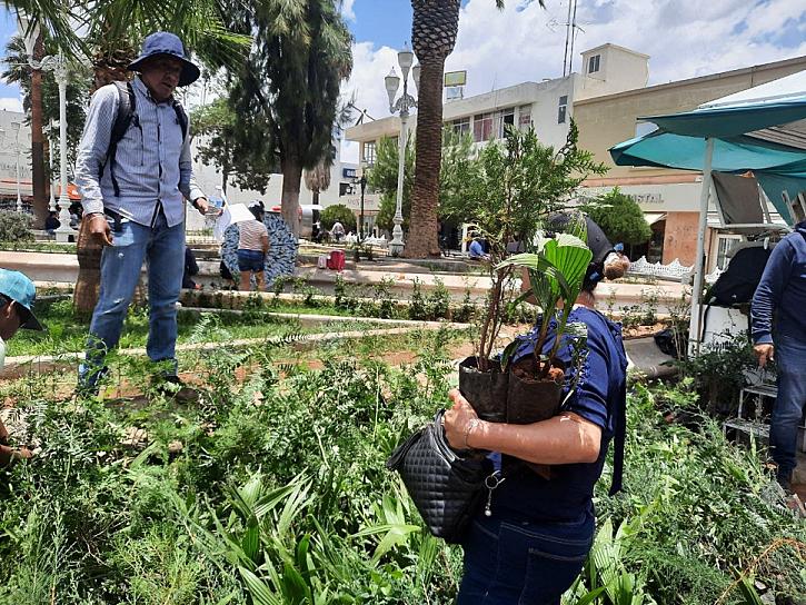 DONAN 5 MIL ÁRBOLES PARA CONMEMORAR DÍA DEL MEDIO AMBIENTE