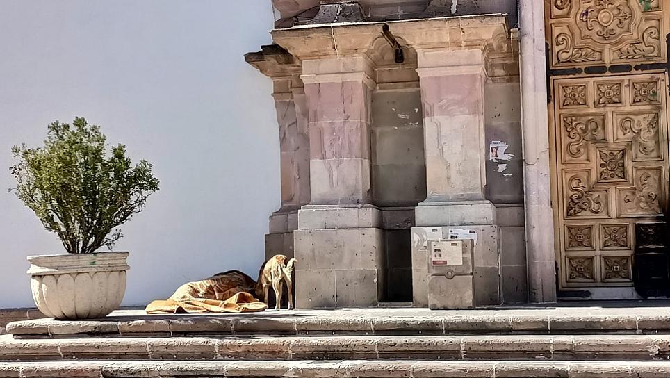 DUERME INDIGENTE AFUERA DEL CONGRESO DEL ESTADO