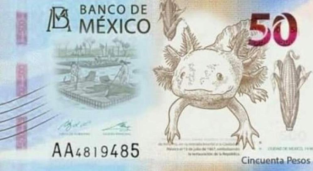  ¡EL AJOLOTE TRIUNFA! BILLETE DE 50 PESOS GANA PREMIO POR MEJOR DISEÑO 