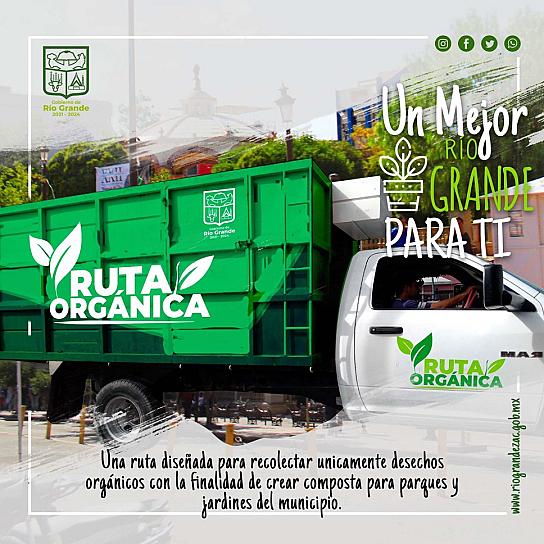 EL AYUNTAMIENTO DE RÍO GRANDE PONE EN MARCHA EL PROYECTO RUTA ORGÁNICA