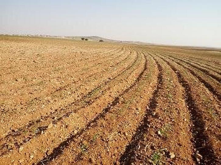 EL CALOR YA QUEMÓ LOS PRODUCTOS AGRÍCOLAS: REPRESENTANTE AGRARIO