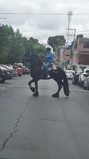 EL CORONEL, EN LA CALLE