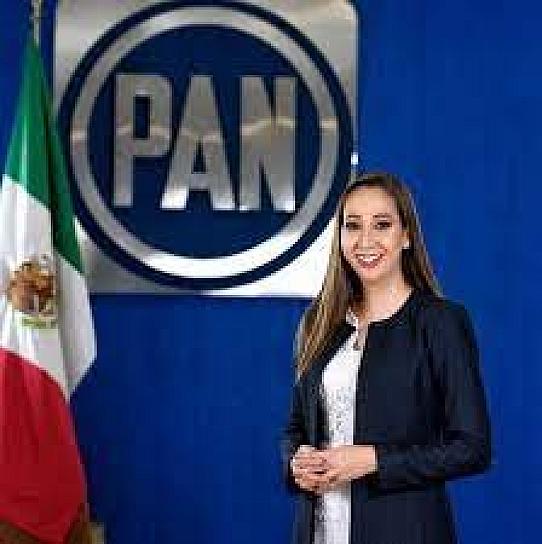  EL PAN NO APROBARÁ LA REFORMA ELÉCTRICA: NOEMÍ LUNA