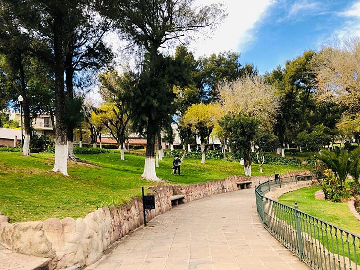 El Parque Sierra de Álica: un oasis de vida y convivencia en el corazón de Zacatecas