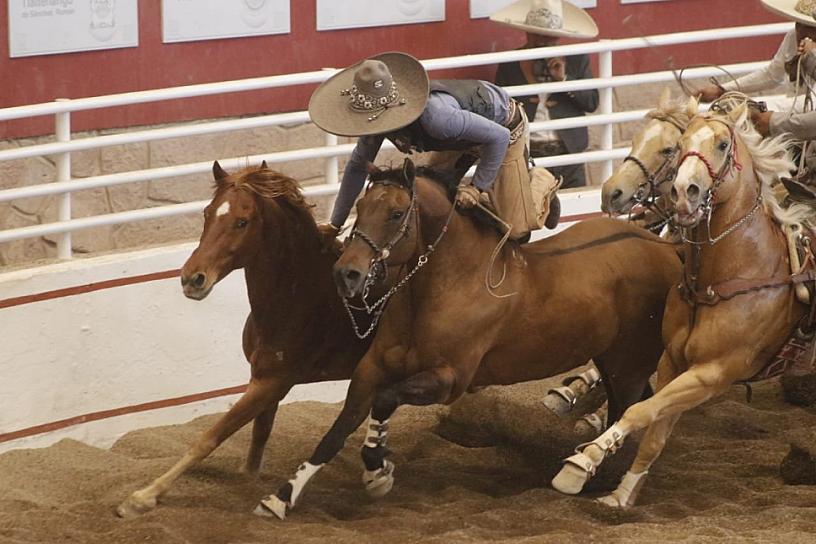 EL SECRETO CAMPO AZUL, NUEVO LÍDER DEL CAMPEONATO NACIONAL DEL MEZCAL Y LA PLATA  