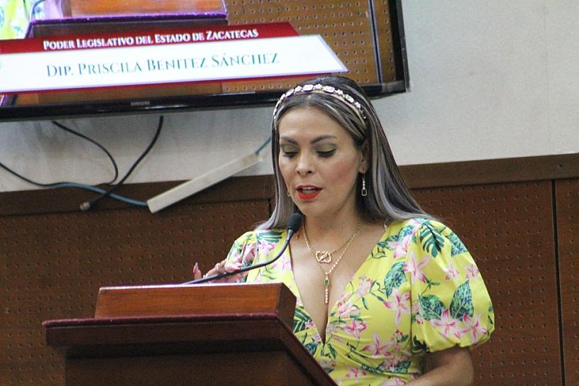 EMITE LEGISLATURA CONVOCATORIA PARA ELEGIR 4 INTEGRANTES DEL CONSEJO DE LA CDHEZ
