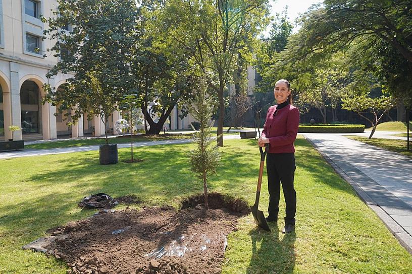 En 2025 nos va a ir muy bien porque hay unidad: Sheinbaum