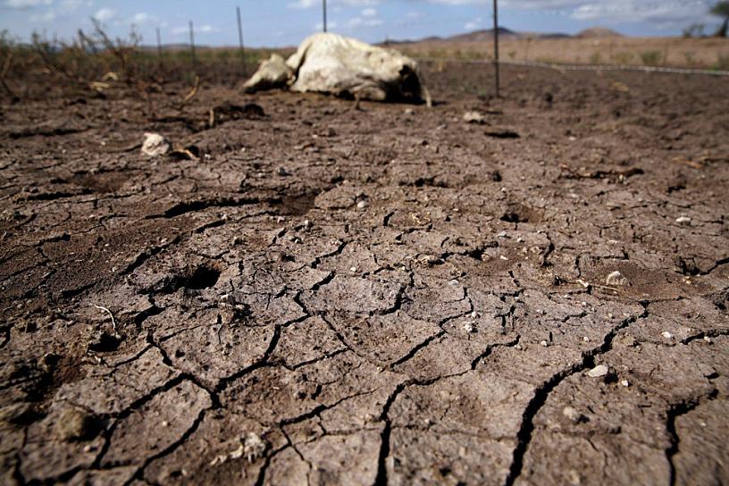 ZACATECAS, EN ALERTA POR SEQUÍA 