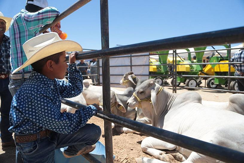 ENCABEZA DAVID MONREAL SÉPTIMA EXPO AGRÍCOLA Y GANADERA EN RÍO GRANDE 