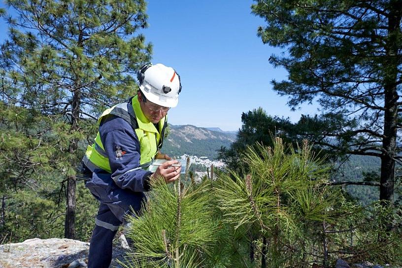 ENCABEZAN PEÑOLES Y FRESNILLO PLC ACCIONES DE REFORESTACIÓN EN COMUNIDADES
