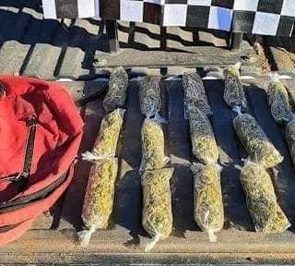 EN NOVIEMBRE, ASEGURA GN MÁS DE 4 MIL DOSIS DE DROGA EN VARIOS ESTADOS 