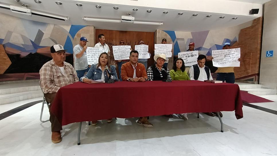 EN RIESGO, CASI EL 50% DEL FRIJOL SEMBRADO EN TERRITORIO ZACATECANO