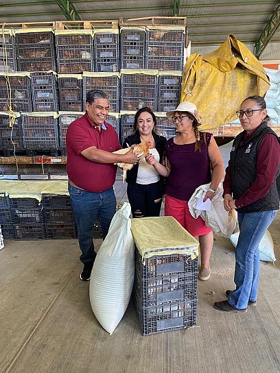 ENTREGAN 159 PAQUETES DE GALLINAS PARA MUJERES DE SOMBRERETE