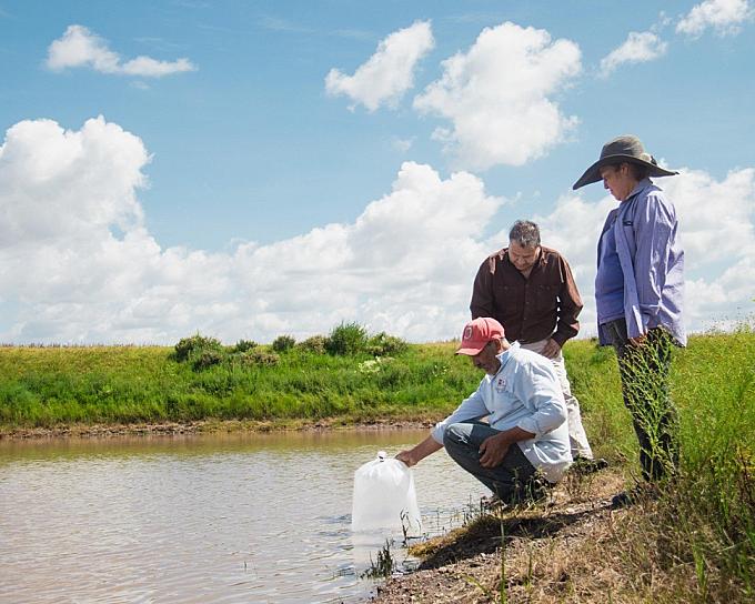 ENTREGAN EN GUADALUPE APOYOS PARA SIEMBRA Y CRIANZA DE PECES