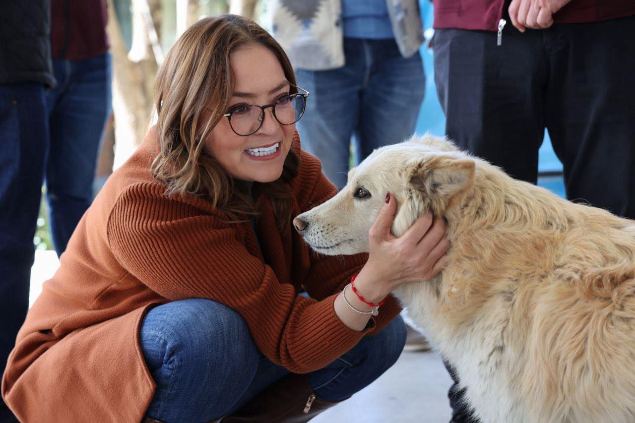 -Sumando lealtad al equipo