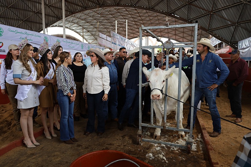 INVIERTEN CERCA DE 700 MDP EN EL CAMPO