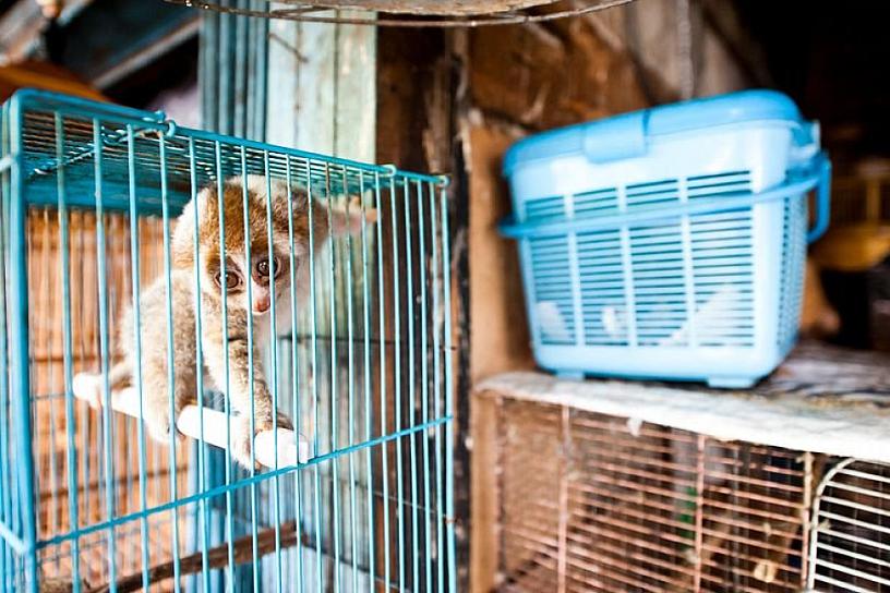 ESPECIALISTAS AFIRMAN QUE A MÁS DE 10 AÑOS DE LA PROMULGACIÓN DE LOS PRECEPCTOS DE LA ONU, AÚN NO SE CUMPLEN
