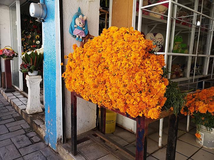 ESPERAN COMERCIANTES MAYOR VENTAS DE FLORES EL DÍA DE MUERTOS 