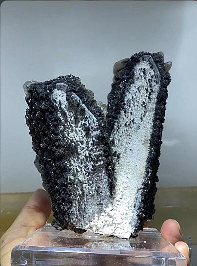 EXHIBIRÁN MUESTRA DE MÁS DE 5 MIL VARIEDADES DE MINERALES