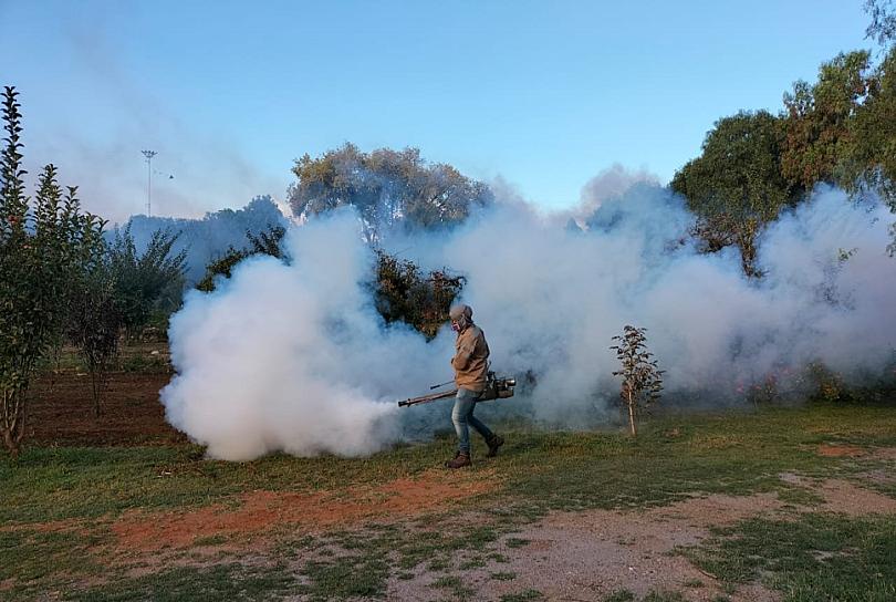 EXHORTA LA SSZ A DESCACHARRIZAR PARA PREVENIR EL DENGUE