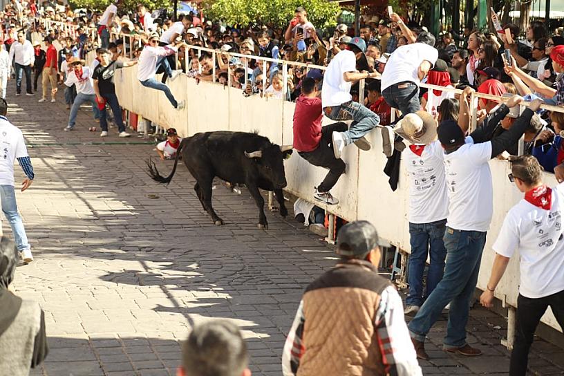 EXITOSO, SEGUNDO ENCIERRO DE LA JEREZADA
