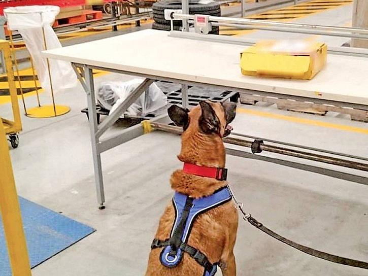 EXPANDE TECNOLOGÍA EPIDEMIA DE SOBREDOSIS CON FENTANILO