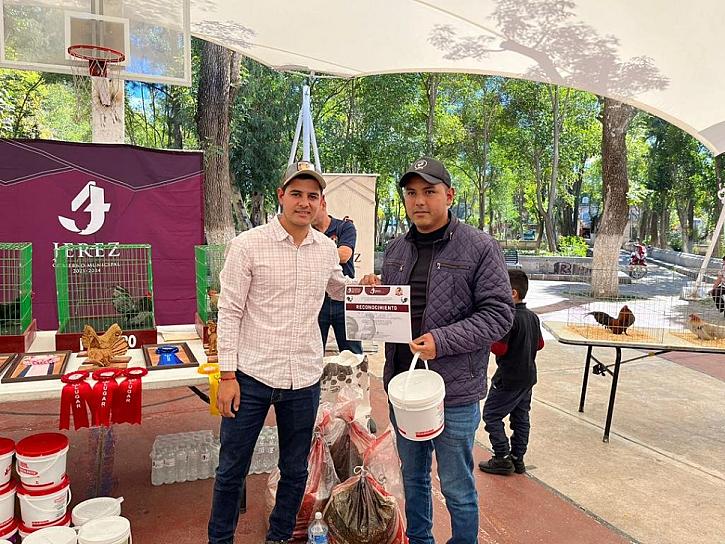 EXPONEN Y VENDEN GALLITOS MINIATURA Y GALLINAS DE RAZA EN JEREZ