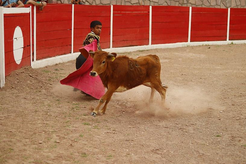 FESTEJA JEREZ DÍA DEL NIÑO CON SHOW DE ENANITOS TOREROS