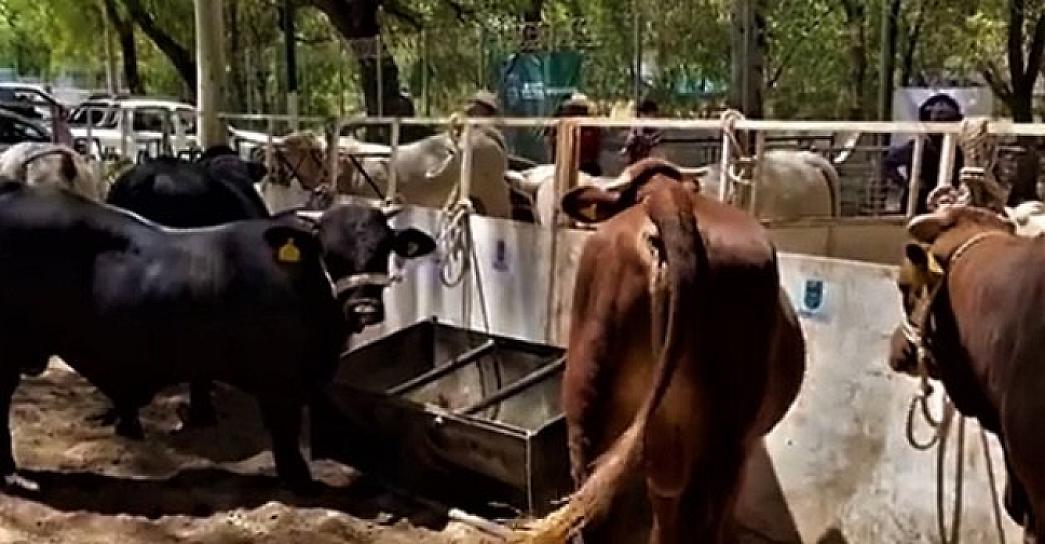 FIRMAN ACUERDO PARA COMBATIR LA TUBERCULOSIS BOVINA 
