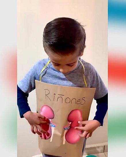 FOMENTAN CULTURA DE LA DONACIÓN DE ÓRGANOS&nbsp;