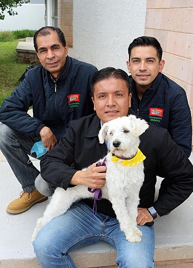 Fomenta SSZ la esterilización de mascotas