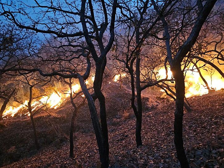 FORTALECE PC COORDINACIÓN PARA EL COMBATE DE INCENDIOS FORESTALES 
