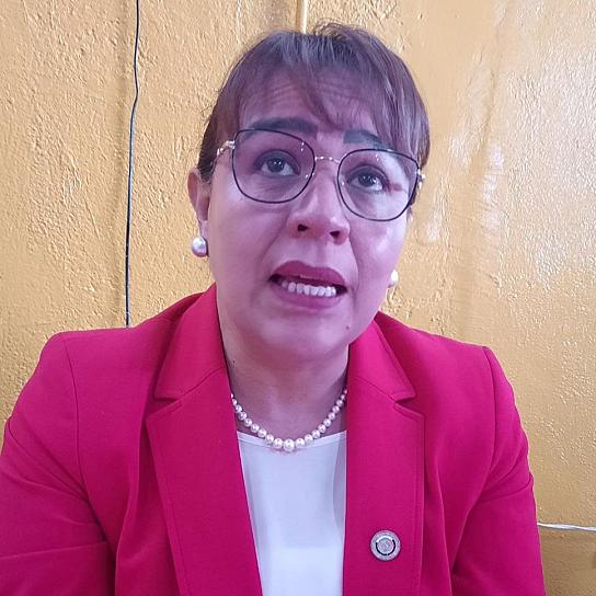 FRESNILLO, ENTRE LOS 10 MUNICIPIOS CON MÁS CONSUMO DE DROGA: MARIBEL GALVÁN