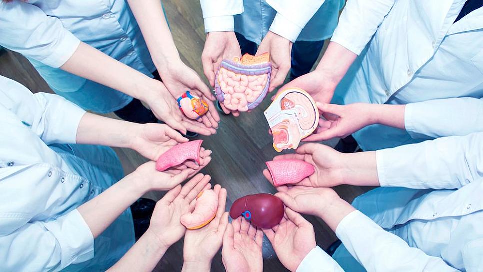 FUNDAMENTAL, LA DONACIÓN DE ÓRGANOS PARA CIERTAS PATOLOGÍAS: IMSS 