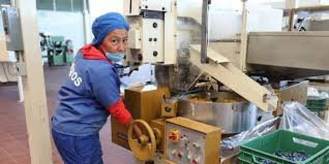 OCUPACIÓN LABORAL GANA TERRENO EN ZACATECAS