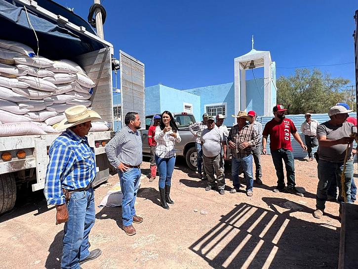 GESTIONA BENNELLY HERNÁNDEZ APOYOS A AGRICULTORES FRESNILLENSES