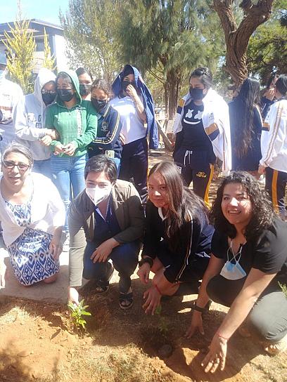 GOBIERNO ESTATAL REFORESTA INSTALACIONES DE PLANTEL EDUCATIVO EN TRANCOSO   