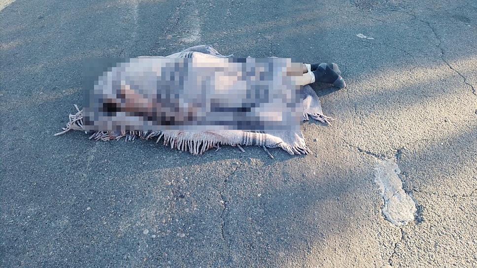 HALLAN CUERPO ENCOBIJADO EN JEREZ