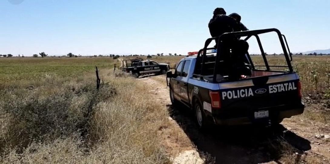 HALLAN CUERPOS DE 4 HOMBRES Y UNA MUJER EN PINOS; TENÍAN SIGNOS DE TORTURA