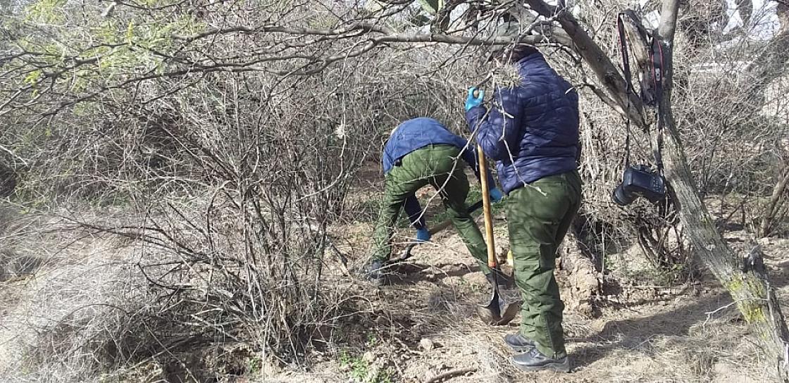 HALLAN RESTOS ÓSEOS DE 10 PERSONAS DIFERENTES EN MUNICIPIOS DE ZACATECAS 