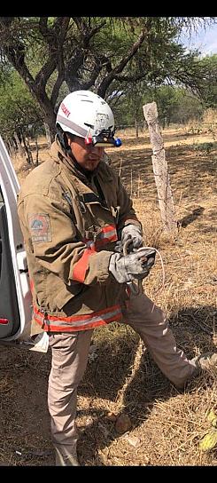 HALLAN VÍBORA DENTRO DE UNA CASA EN TLALTENANGO
