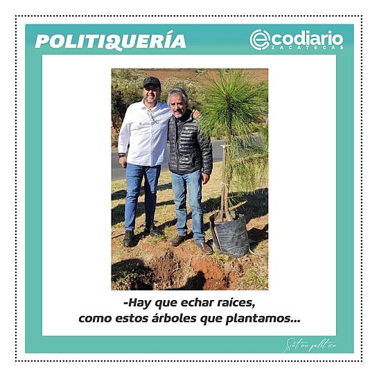 -Hay que echar raíces, como estos árboles que plantamos...