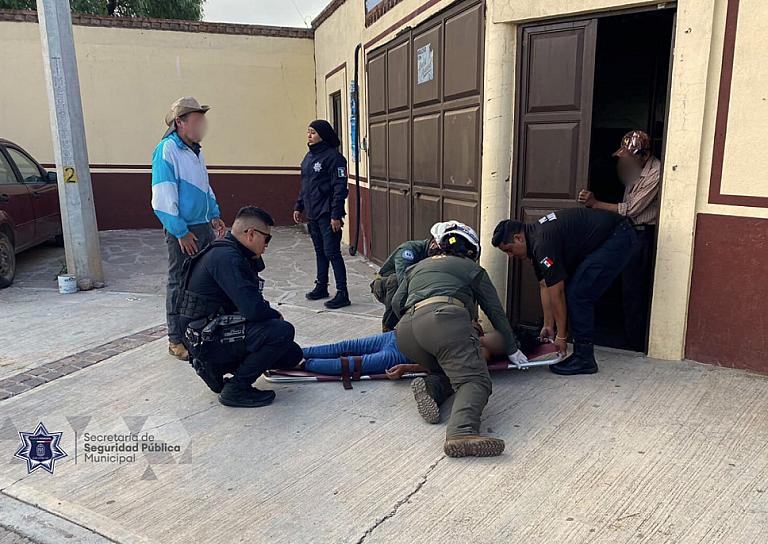 HOSPITALIZAN A MUJER TRAS ATAQUE DE ABEJAS 