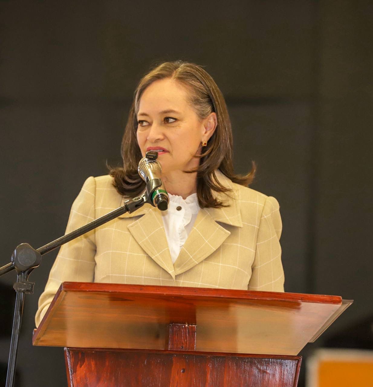 BUSCAN AMPLIAR CAPACIDAD TECNOLÓGICA EN REGISTRO CIVIL DE FRESNILLO