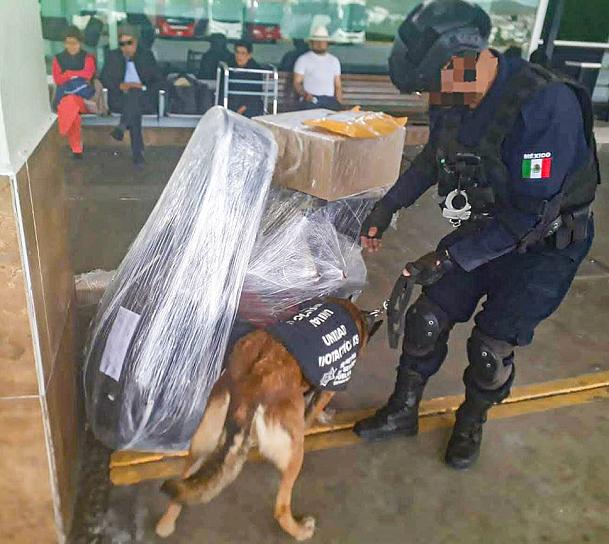 IMPLEMENTAN OPERATIVOS DE REVISIÓN EN CENTRAN CAMIONERA 