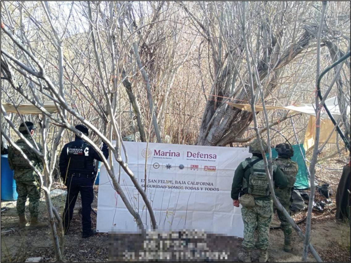INHABILITA MARINA LABORATORIO CLANDESTINO EN ENSENADA