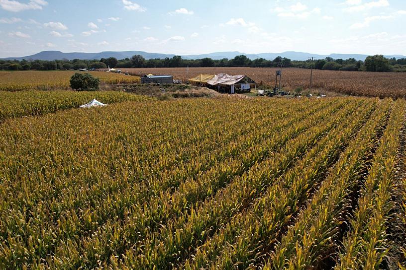 IMPULSAN EL DESARROLLO DEL CAMPO EN JEREZ 