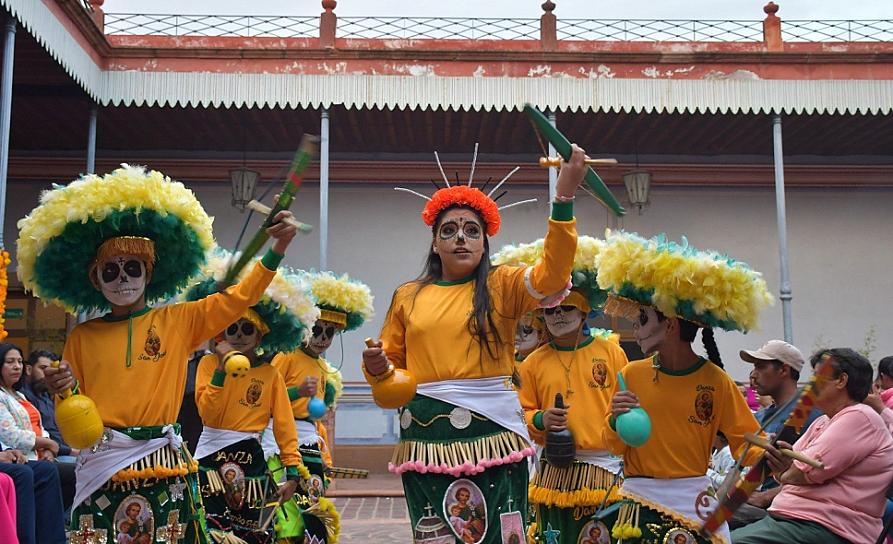 IMPULSAN PRODUCCIÓN DE FLOR DE CEMPASÚCHIL EN TACOALECHE